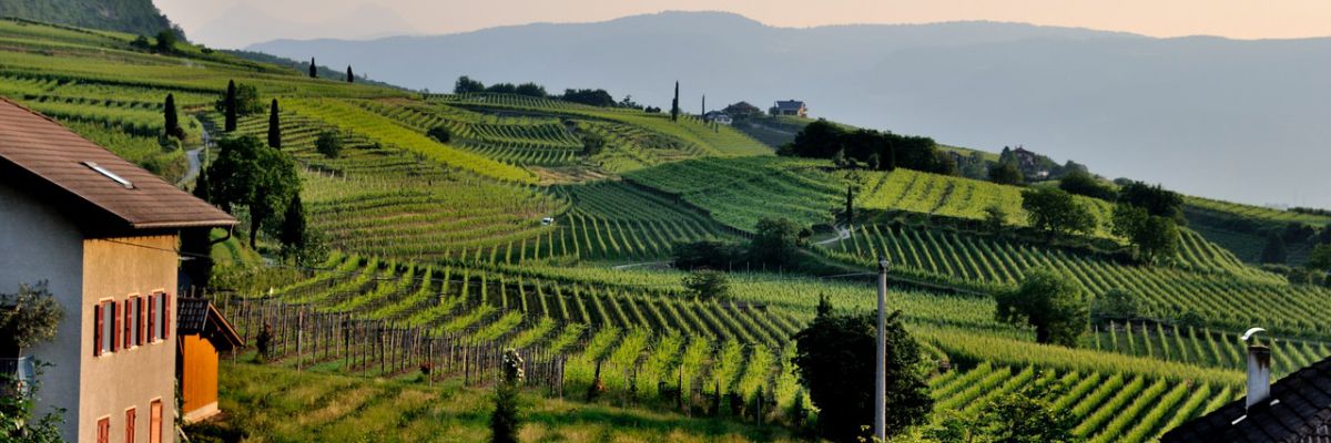 agriturismi