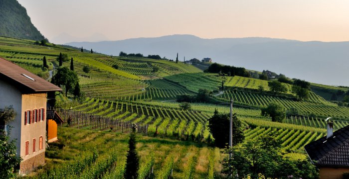 Agriturismi
