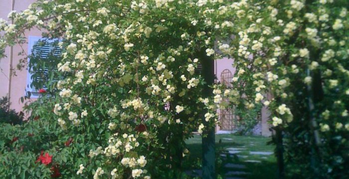 B&B Il Quadrifoglio
